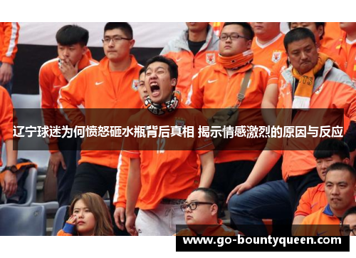 辽宁球迷为何愤怒砸水瓶背后真相 揭示情感激烈的原因与反应