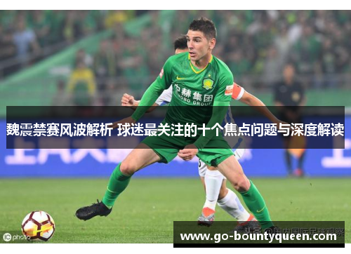 魏震禁赛风波解析 球迷最关注的十个焦点问题与深度解读